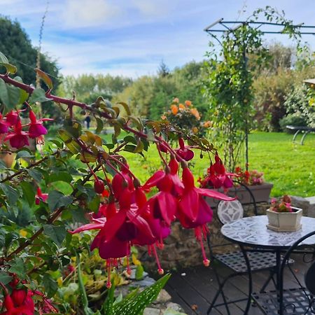 Lesroses1680 Bed and Breakfast Blainville-sur-Mer Exteriör bild